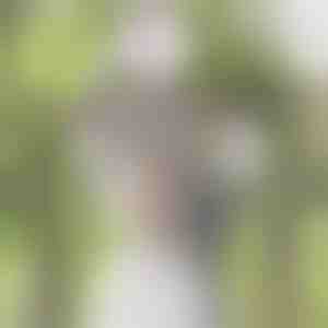 Simulace vistáriového květu | WISBLOOM