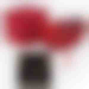 Od přítele pro přítelkyni | ALAYA_CLOVERIE_APPLEROSE