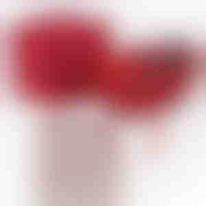 Od přítele pro přítelkyni | JULIET_HEARTS_APPLEROSE