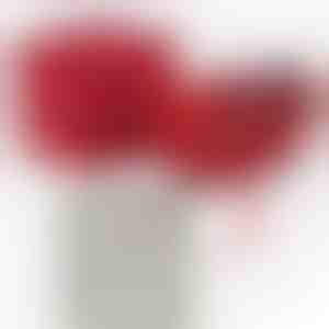 Od matky pro dceru | KIARA_CLOVERIE_APPLEROSE