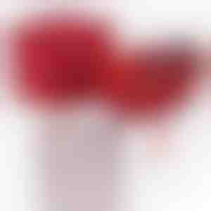 Od babičky pro vnučku | NOA_CLOVERIE_APPLEROSE