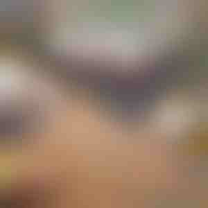 Přenosný gril na dřevěné uhlí | GRILLOMATE