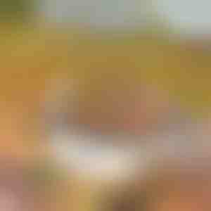 Přenosný gril | GRILLSTER