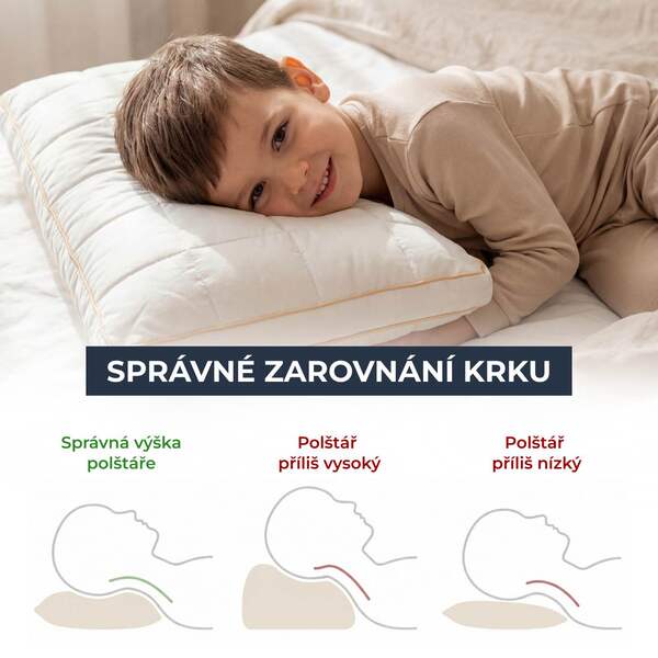 MINIDREAM-3831127599472-CZ-3__070926