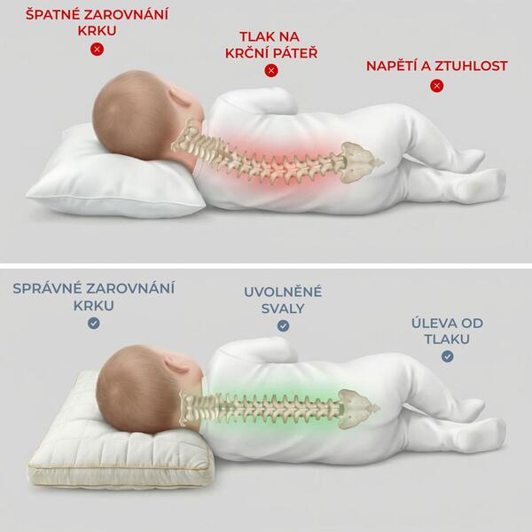 MINIDREAM-3831127599472-CZ-8__070926